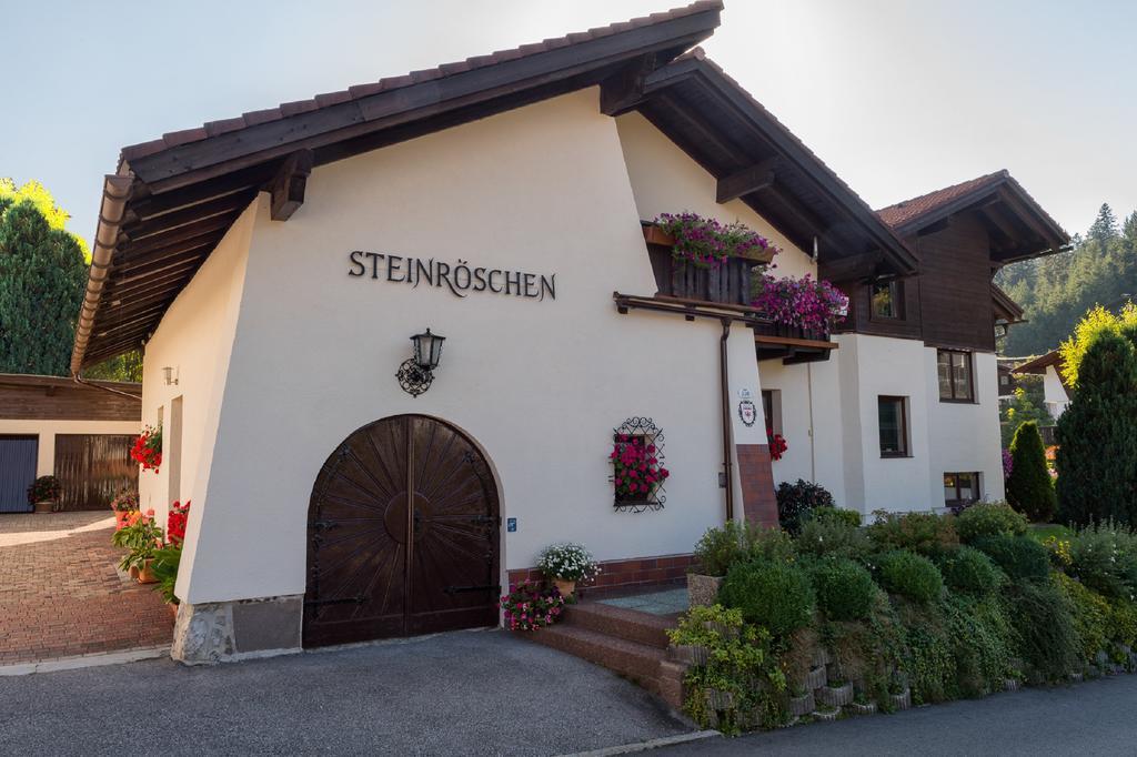 蒂罗尔-泽费尔德Haus Steinroeschen公寓 外观 照片